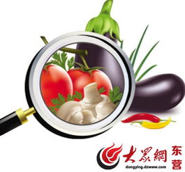 春節(jié)餐飲消費(fèi)安全提示 東營市食藥監(jiān)局發(fā)布重要提醒
